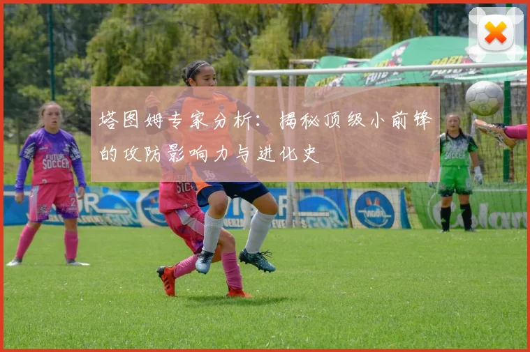 塔图姆专家分析:揭秘顶级小前锋的攻防影响力与进化史
