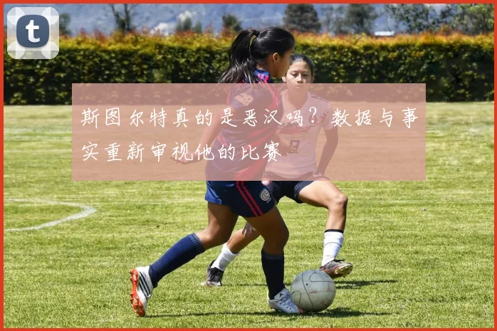 斯图尔特真的是恶汉吗?数据与事实重新审视他的比赛