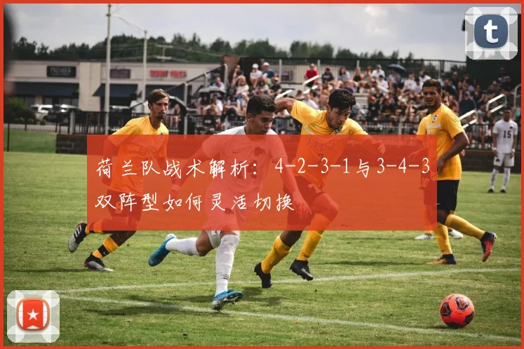 荷兰队战术解析:4-2-3-1与3-4-3双阵型如何灵活切换
